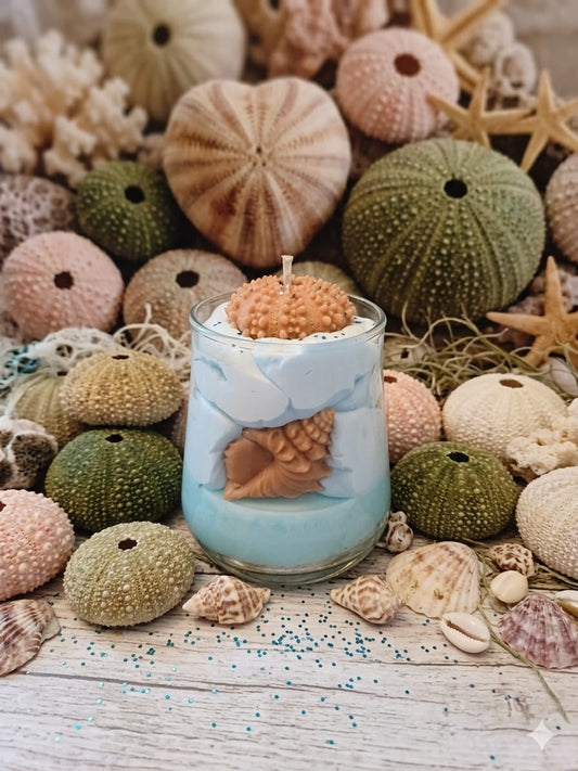 Bougie Coquillages – Brise Marine