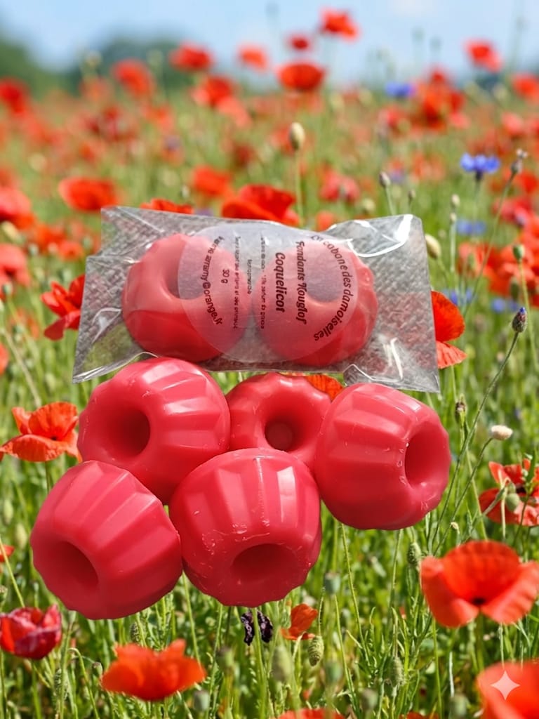 Fondants de Cire Kouglof — Coquelicot